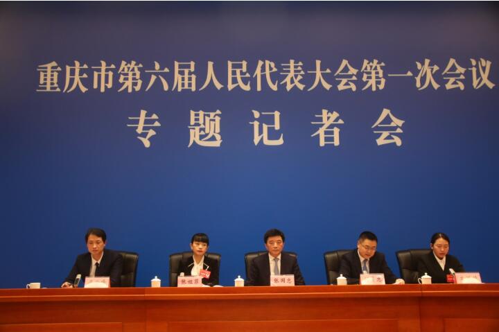 贯彻落实乡村振兴责任制 推动乡村振兴战略行动